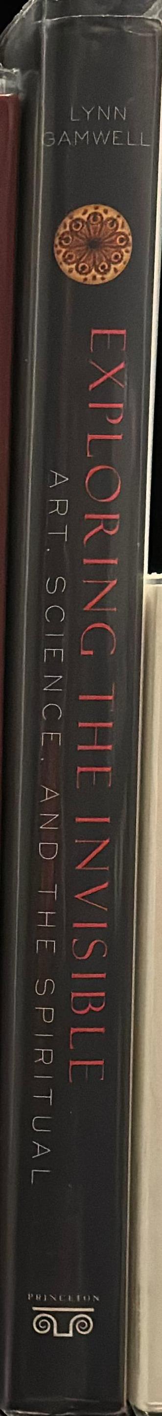 Exploring the invisible : art, science and the spiritual spine