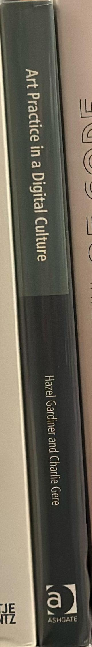 Art practice in a digital culture spine