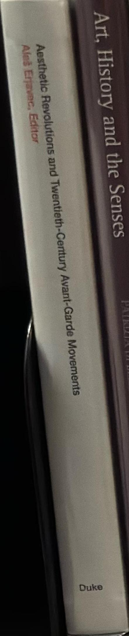 Aesthetic revolutions and Twentieth-Century avant-garde movements / Ales Erjavec, editor spine