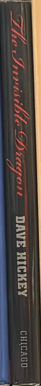 The invisible dragon : essays on beauty spine