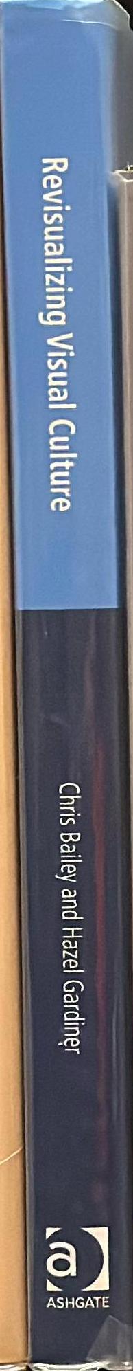 Revisualizing visual culture spine