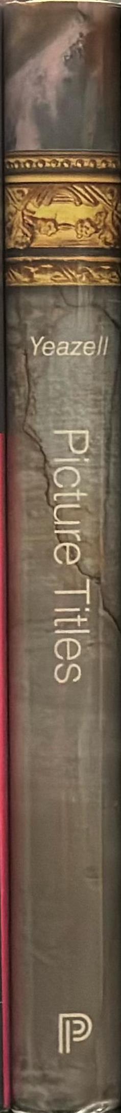 Picture titles : how and why western paintings acquired their names / Ruth Bernard Yeazell spine