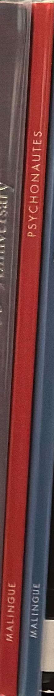 Psychonautes : proposition d'Arnauld Pierre spine