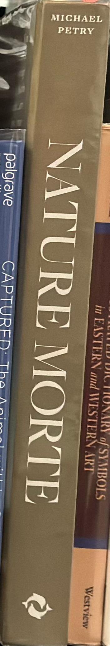 Nature morte : contemporary artists reinvigorate the still-life tradition / Michael Petry spine