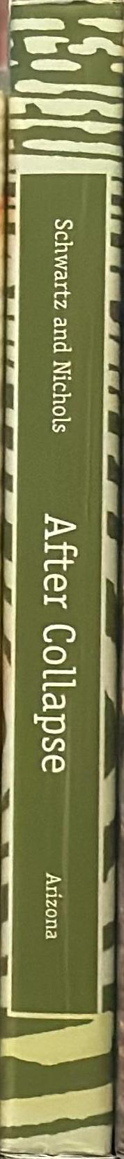 After collapse : the regeneration of complex societies spine