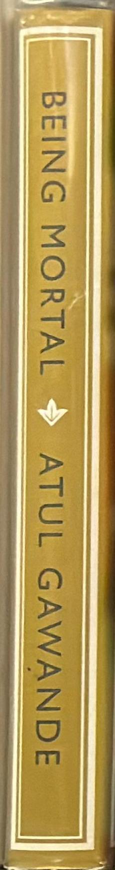 Being mortal : illness, medicine and what matters in the end / Atul Gawande spine