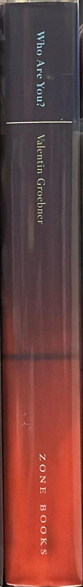 Who are you? : identification, deception and surveillance in early modern Europe spine