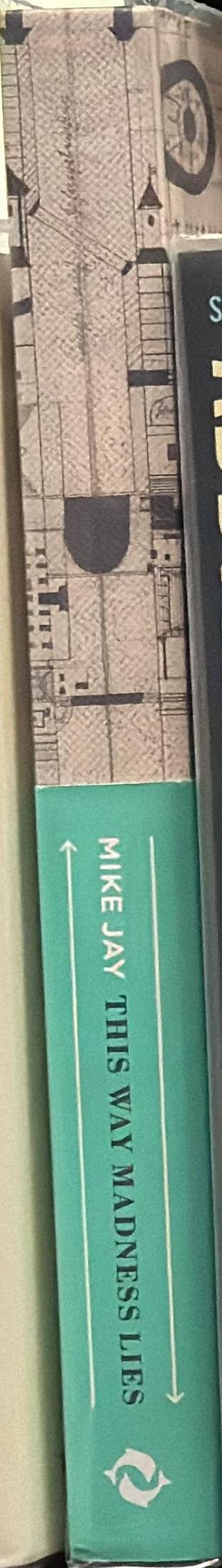 This way madness lies : the asylum and beyond / Mike Jay spine