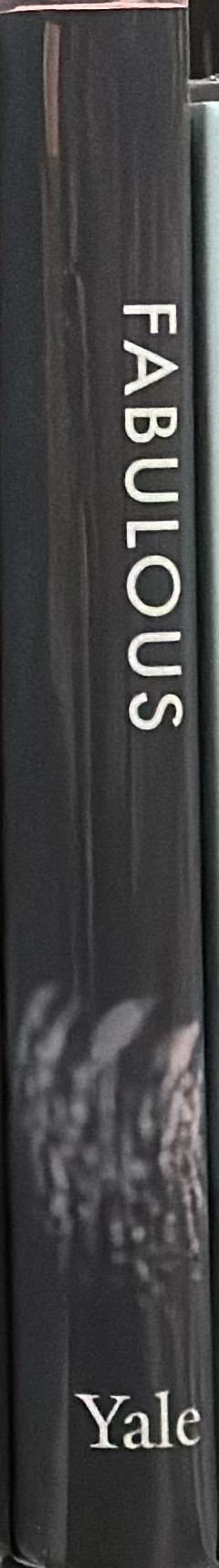 Fabulous : the rise of the beautiful eccentric /​ Madison Moore spine