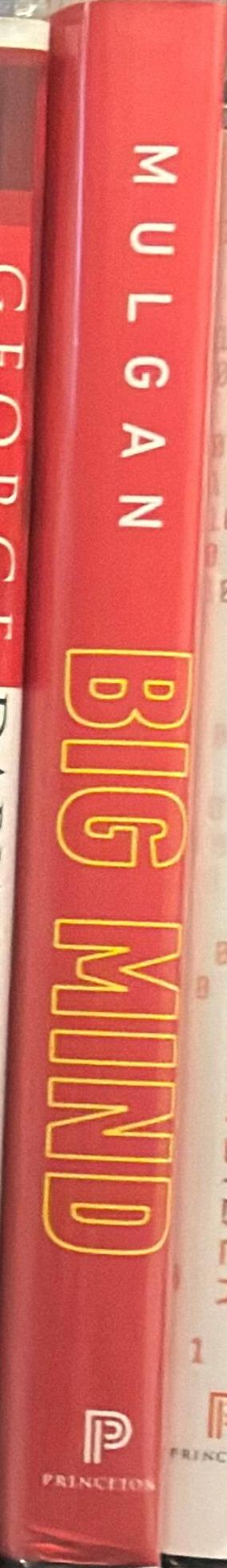 Big mind : how collective intelligence can change our world / Geoff Mulgan spine