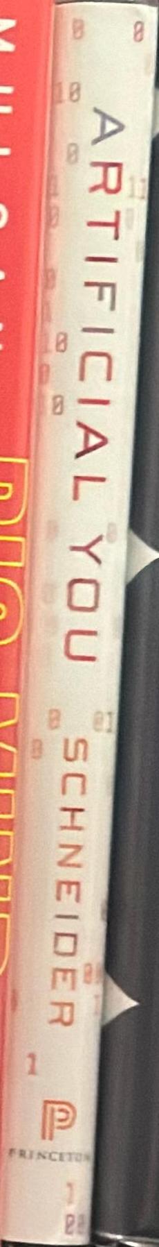 Artificial you : AI and the future of your mind / Susan Schneider spine