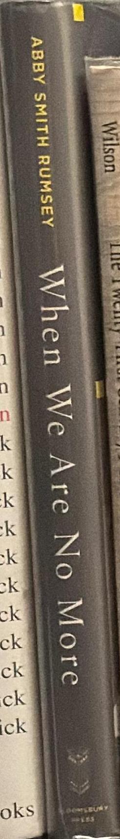 When we are no more : how digital memory is shaping our future / Abby Smith Rumsey spine