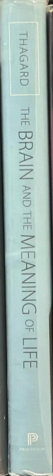 The brain and the meaning of life spine