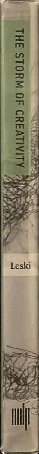 The storm of creativity / Kyna Leski ; foreword by John Maeda spine