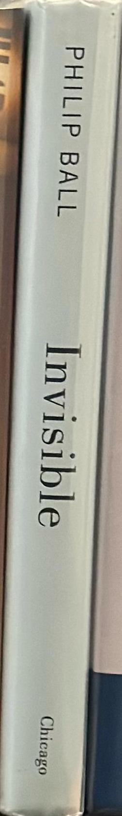 Invisible : the dangerous allure of the unseen spine