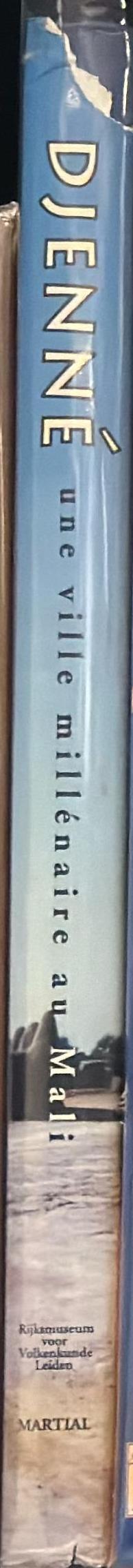 Djenne : une ville millenaire au Mali / Edited by R.M.A. Bedaux & J.D. Waals spine