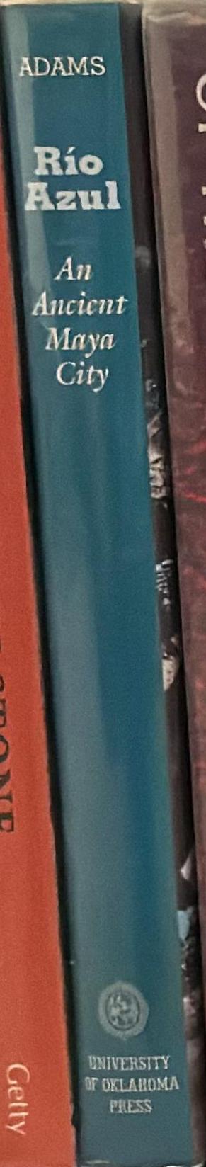 Rio Azul : an ancient Maya city spine