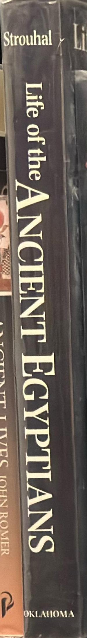 Life of the ancient Egyptians spine