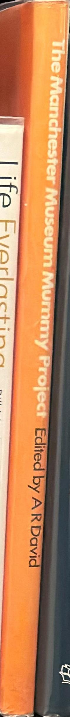 Manchester Museum mummy project : multidisciplinary research on ancient Egyptian mummified remains / Edited by A. Rosalie David spine