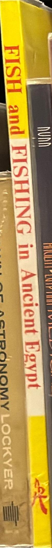 Fish and fishing in ancient Egypt / Douglas J. Brewer, Renee F. Friedman spine
