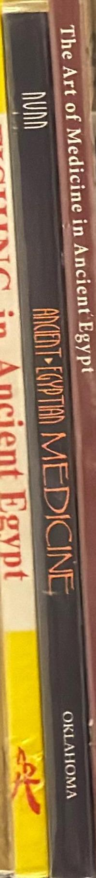 Ancient Egyptian medicine spine