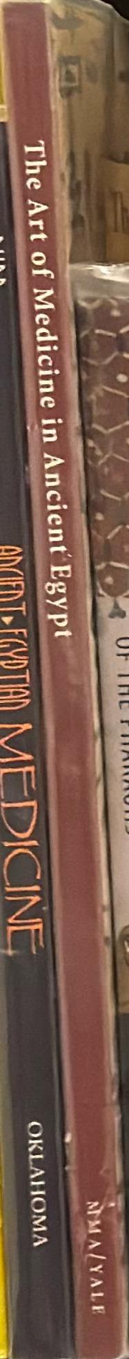 The art of medicine in ancient Egypt spine