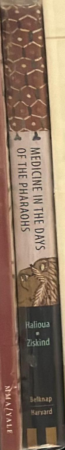 Medicine in the days of the pharaohs spine