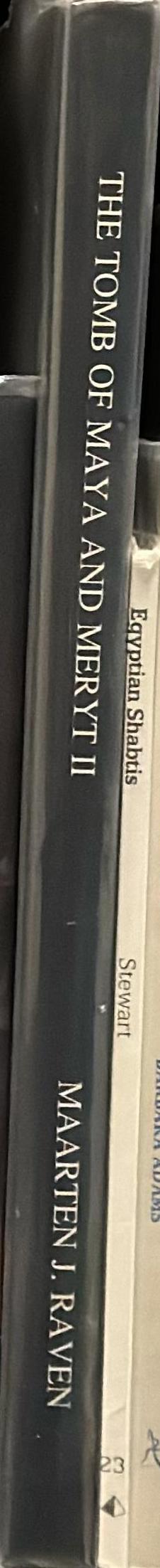 The tomb of Maya and Meryt : II : objects and skeletal remains spine