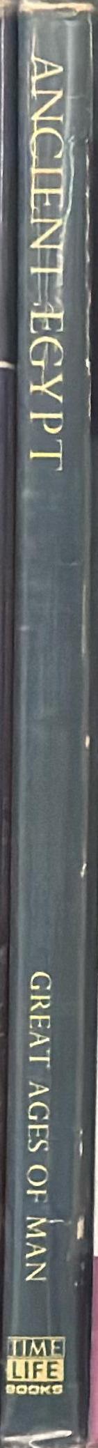 Magritte : the true art of painting spine