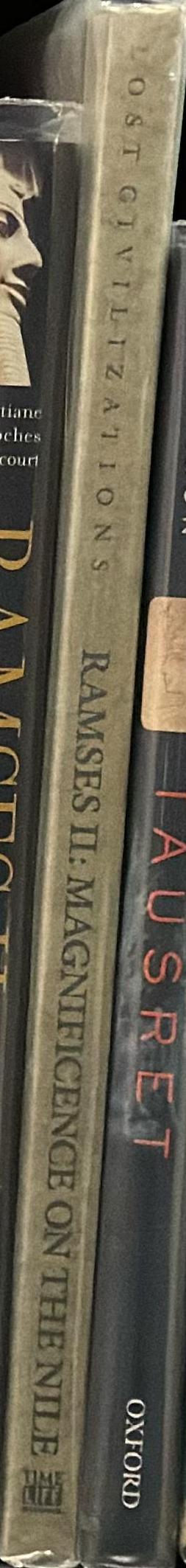 Ramses II : magnificence on the Nile spine