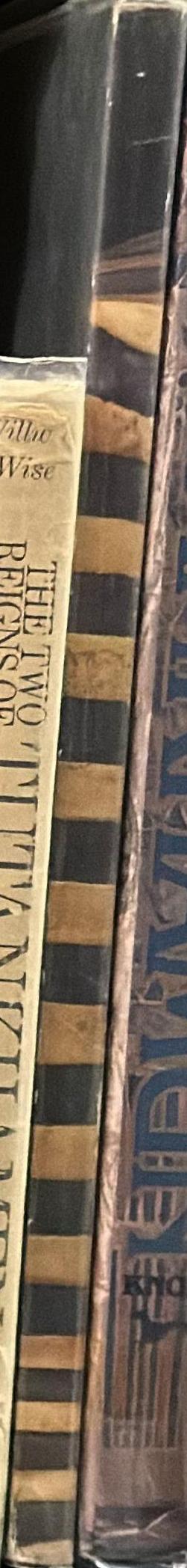 Treasures of Tutankhamun spine