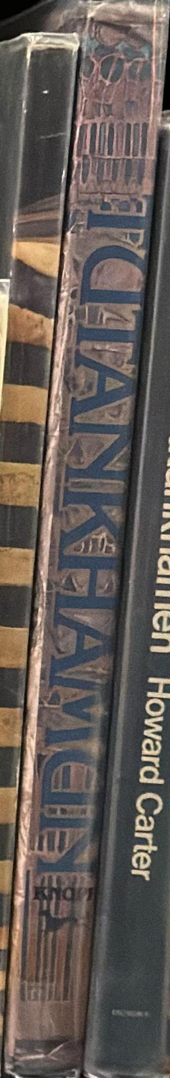 Tutankhamun : his tomb and its treasures spine