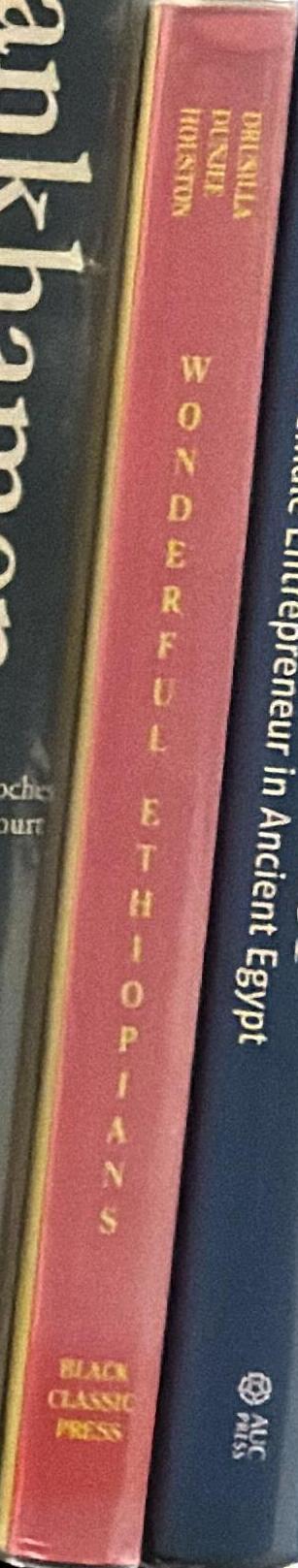 Wonderful Ethiopians of the ancient Cushite Empire : Book one spine