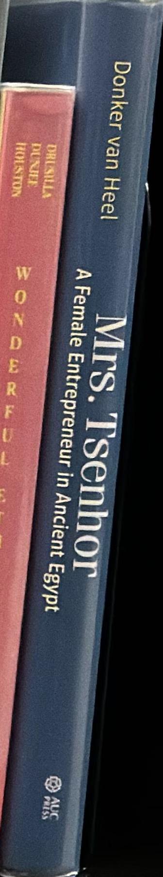Mrs Tsenhor : a female entrepreneur in ancient Egypt spine