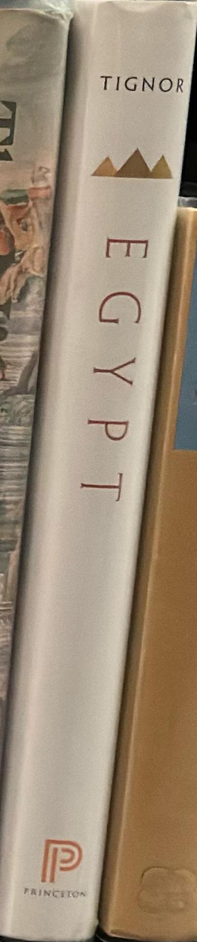 Egypt : A short history spine