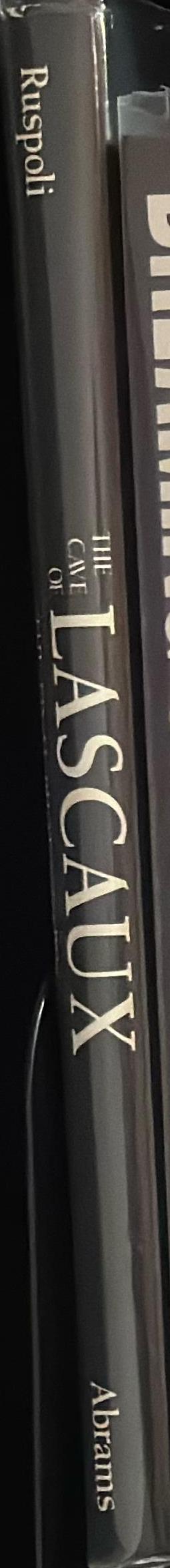 The cave of Lascaux : the final photographs spine