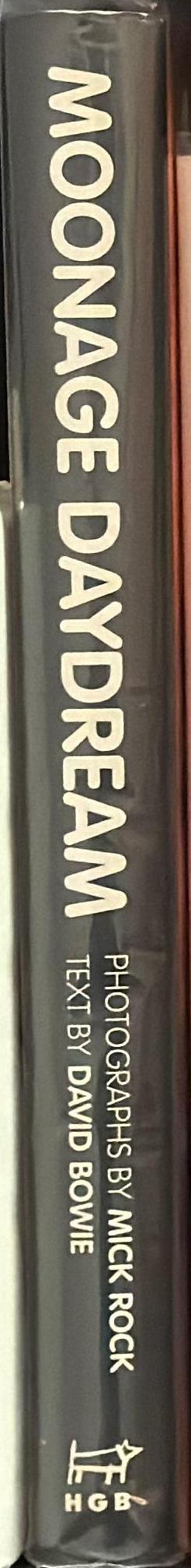 Moonage daydream : the life and times of Ziggy Stardust / Photographs and captions by Mick Rock ; words by David Bowie spine