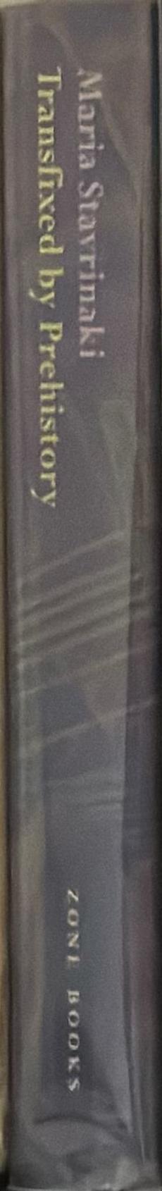 Transfixed by prehistory : an inquiry into modern art and time / Maria Stavrinaki ; translated by Jane Marie Todd spine