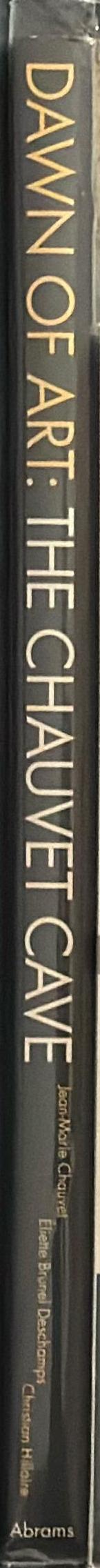 Dawn of art : the Chauvet cave : the oldest known paintings in the world spine