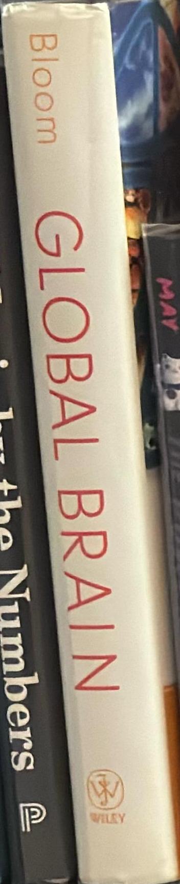 Global brain : the evolution of mass mind from the Big Bang to the 21st Century spine