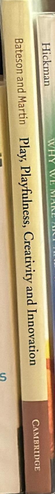 Play, playfulness, creativity and innovation spine
