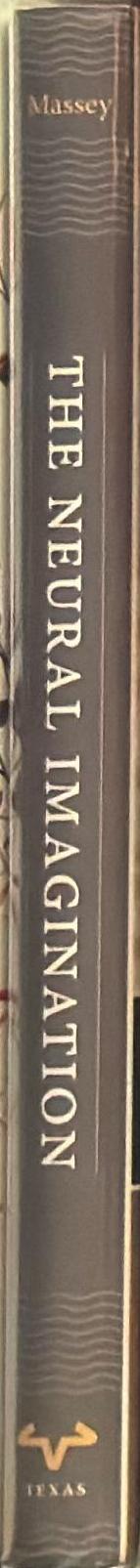 The neural imagination : aesthetic and neuroscientific approaches to the arts spine