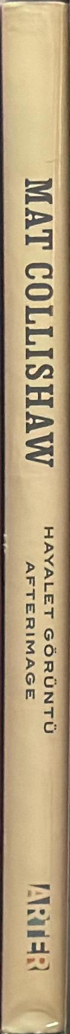 Mat Collishaw : Hayalet görüntü, afterimage spine