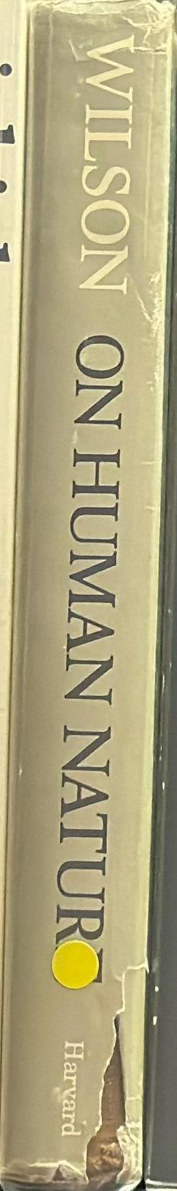 On human nature spine