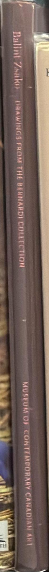 Human problems spine