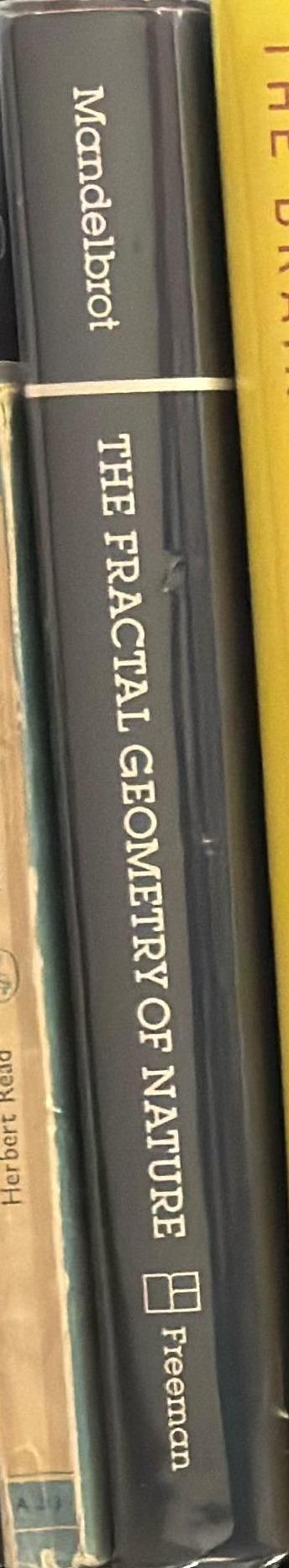 The fractal geometry of nature : updated and augmented / Benoit B. Mandelbrot spine