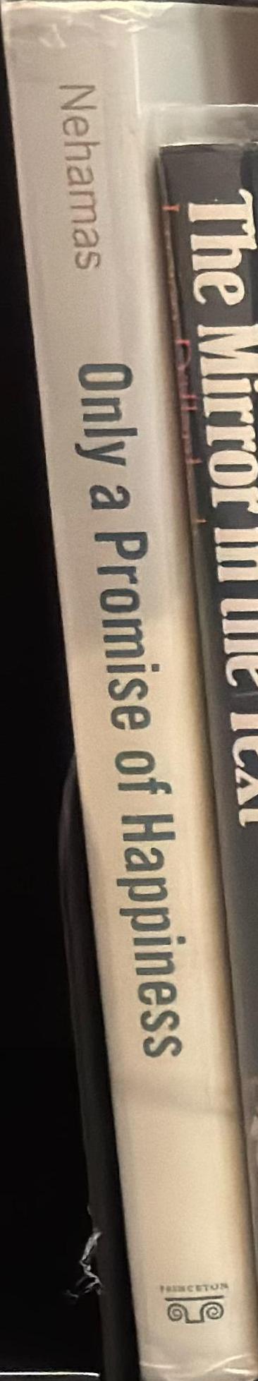 Only a promise of happiness : the place of beauty in a world of art spine