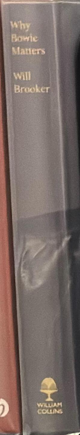 Why Bowie matters / Will Brooker spine