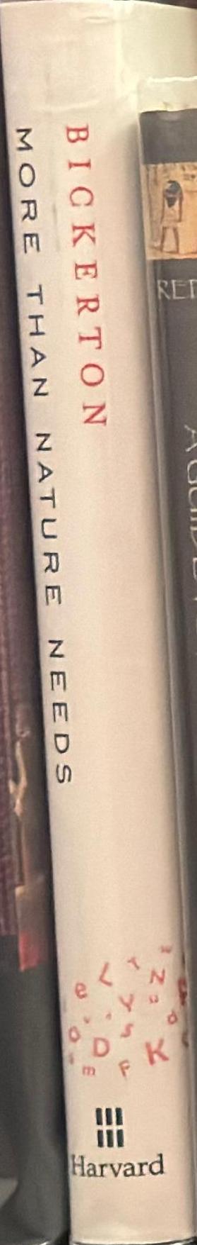 More than nature needs : language, mind and evolution spine