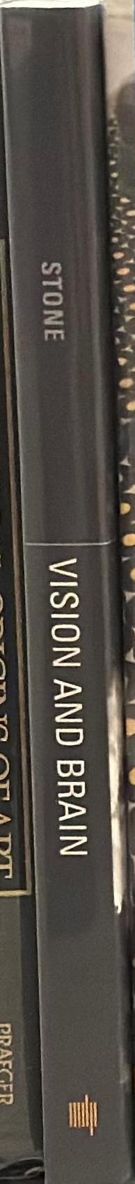 Vision and brain : how we perceive the world / James V. Stone spine
